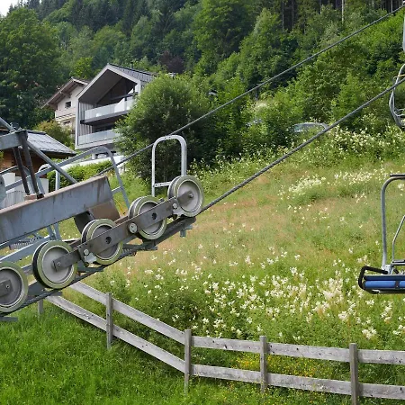 Bear & Bison View Lejlighed