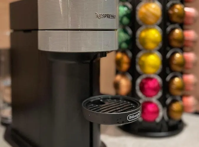 Bear & Bison View * Целль-ам-Зе