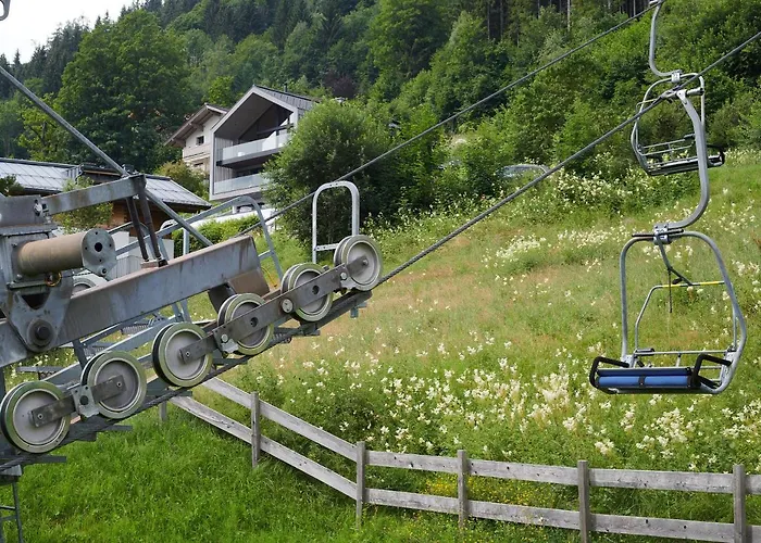 Bear & Bison View Апартаменты