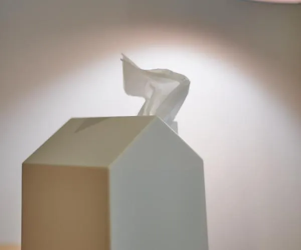 Apartman Bear & Bison View